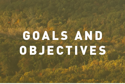 Goals AND Objectives.png